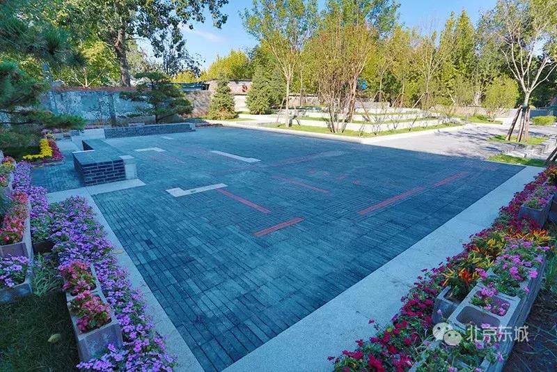 东四块玉口袋公园请您来播绿