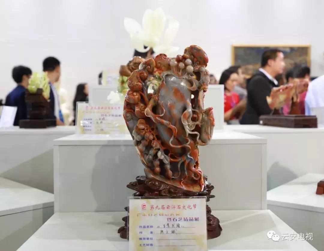 叹为观止发布会,顶级奇石展播视频
