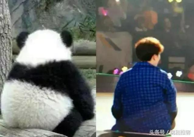 尤长靖很可爱,尤长靖到底有多可爱