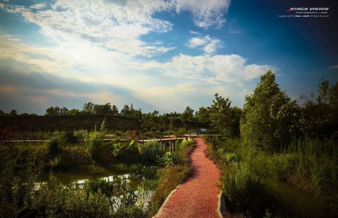 金温江介绍,金温江最新消息