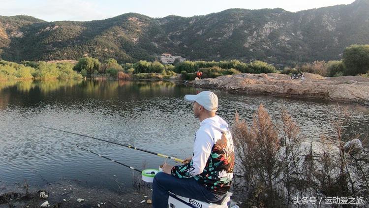 深秋夜钓黑坑鲤鱼用红虫,深秋夜钓鲫鱼可以用红虫吗