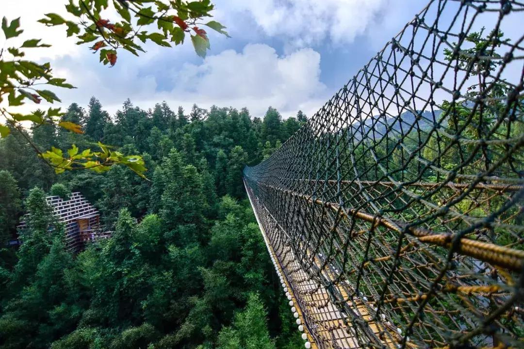 这片媲美京都的红叶之森只藏15栋梦幻树屋，杭州1.5h直达！