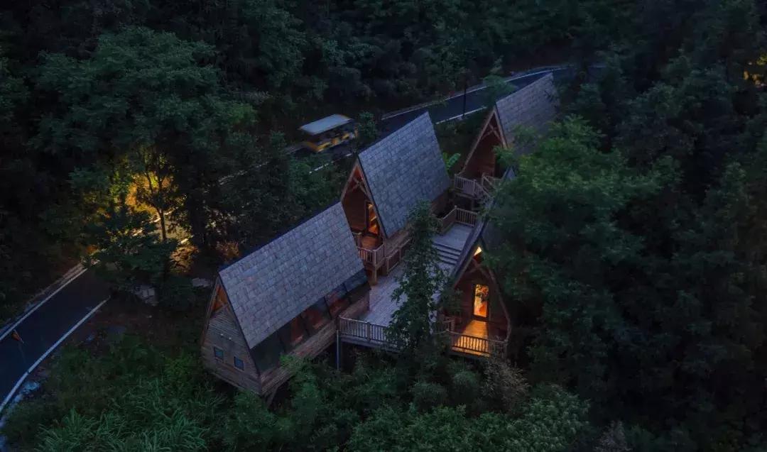 这片媲美京都的红叶之森只藏15栋梦幻树屋，杭州1.5h直达！