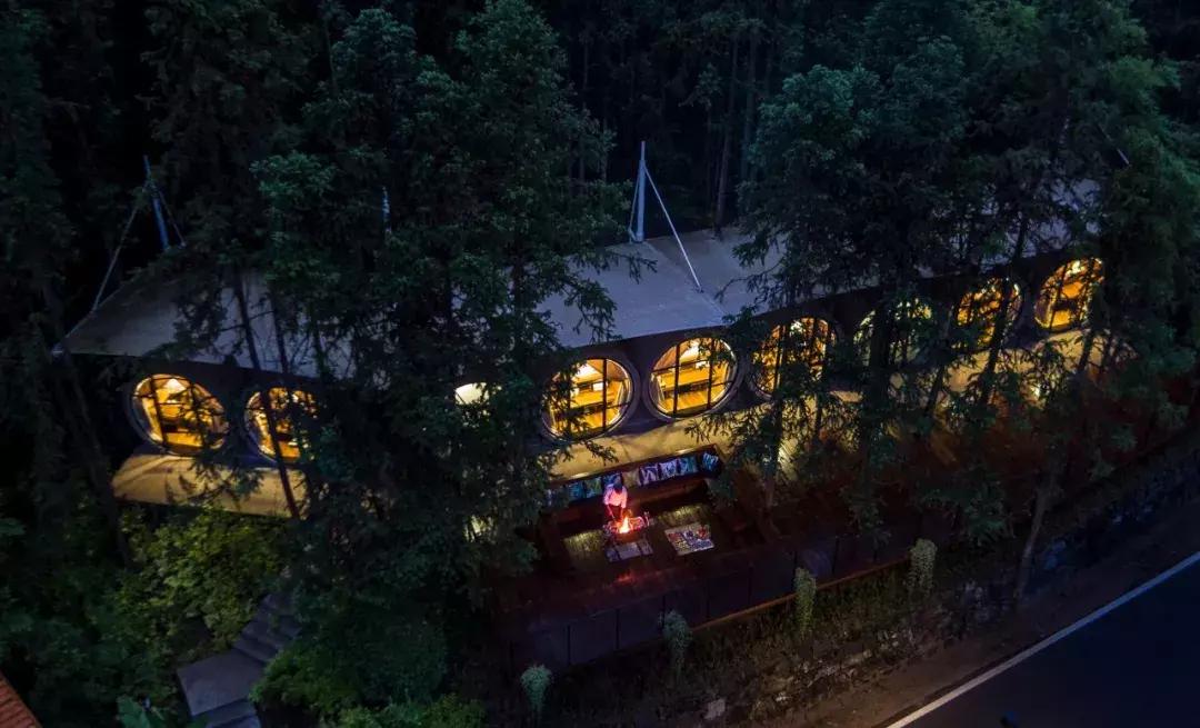 这片媲美京都的红叶之森只藏15栋梦幻树屋，杭州1.5h直达！