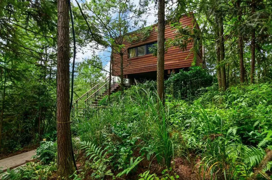 这片媲美京都的红叶之森只藏15栋梦幻树屋，杭州1.5h直达！