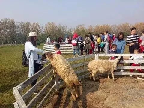 亲子网红庄园,网红亲子农庄在哪里