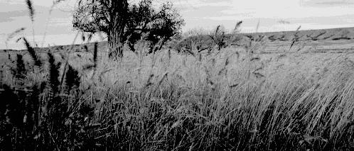 西服里衬,为什么这么重要?