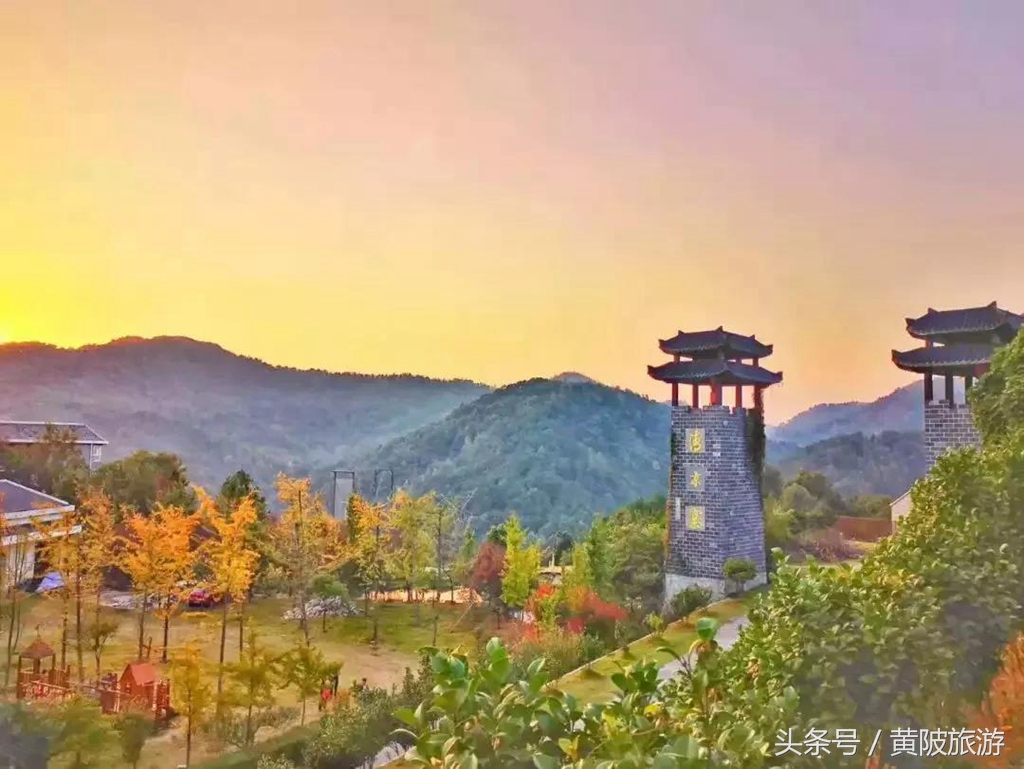 秋色正当时,实时秋色美景