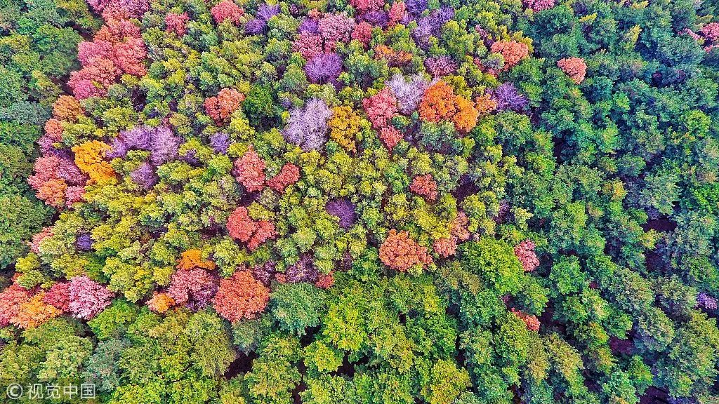 这就是长春歌曲,这里是长春