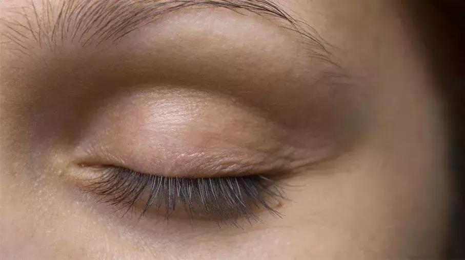 趣味百科错觉,趣味百科和自然探秘