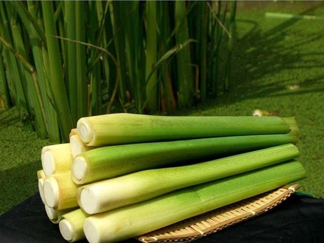 真菌感染适合吃什么菜,真菌感染多吃什么菜