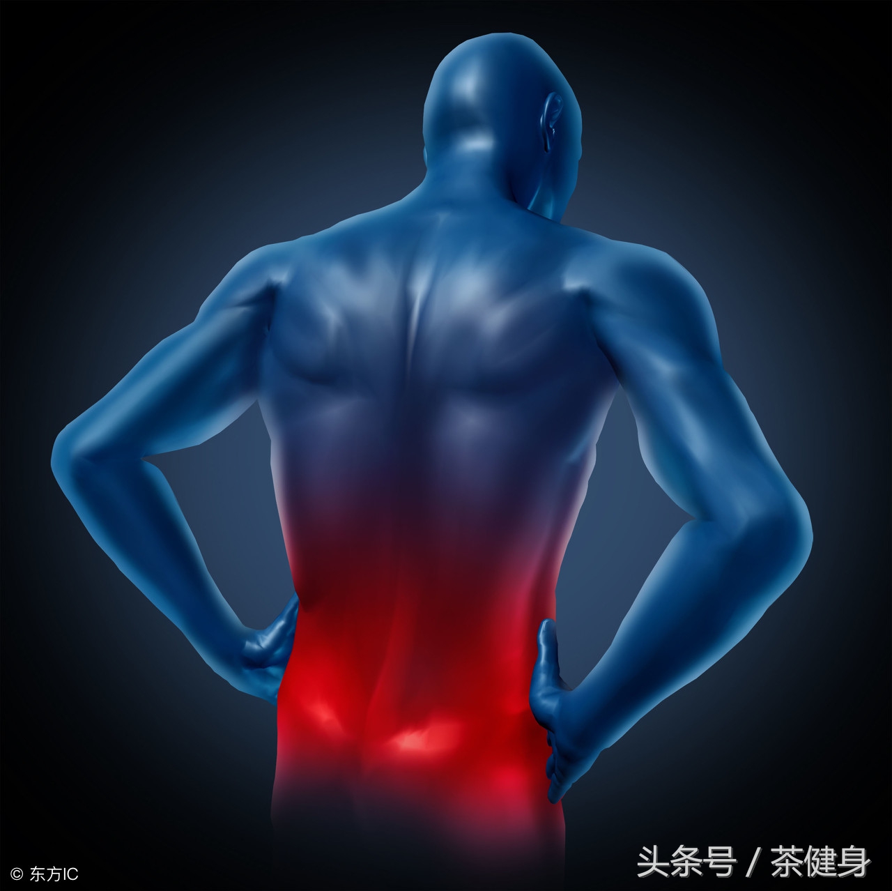 又简单还不伤腰的练腹肌方法,核心力量肌群不足怎么锻炼