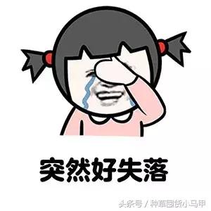 韩国网红护肤品牌skinfood，倒闭了？！