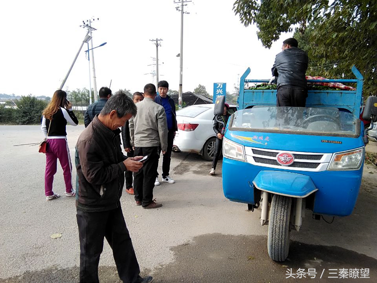 小产业引领大发展——陕西蒲城县龙池镇平头村高会学发展辣椒产业带领村民脱贫致富事迹
