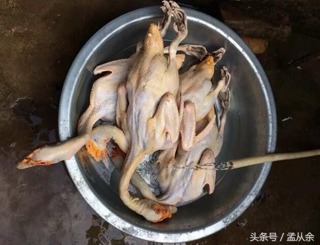 盐水鸭嫩,蒸盐水鸭的做法大全