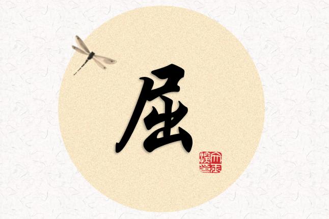 四字诀揭秘骗术：自古真情留不住，唯有套路得人心