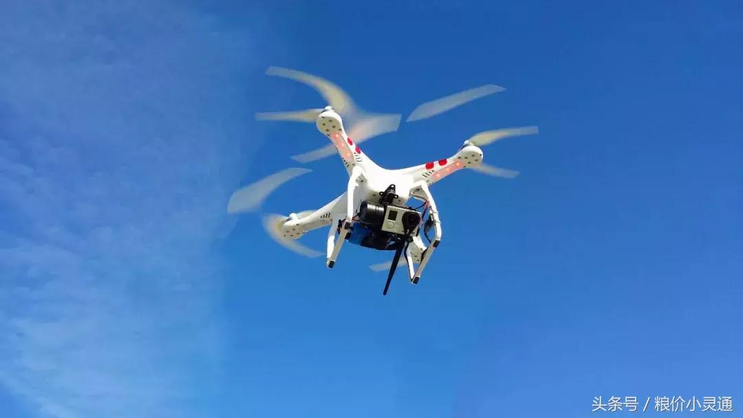 现在农业创业好项目好做吗,农村快速致富冷门项目推荐一下