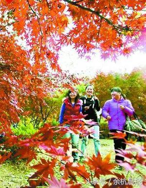 余杭镇,杭州余杭闲林镇