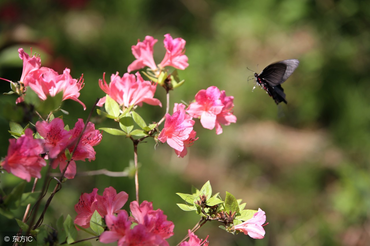 哪位高人用香烟名称写的一段话,太有才了!发给大家乐一乐