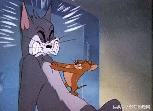 猫和老鼠老鼠被虐,猫和老鼠为什么猫总是被欺负