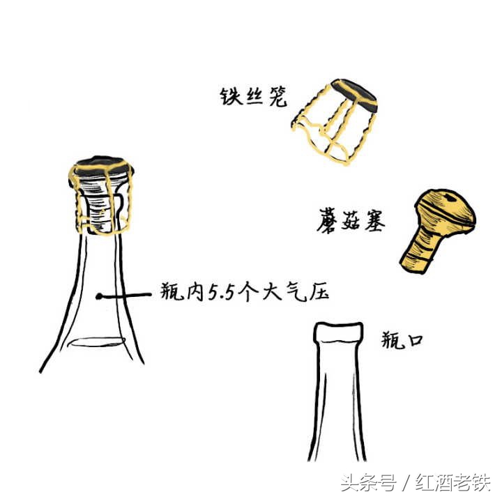 红酒洋酒白酒啤酒照片大全,起泡酒红酒区别