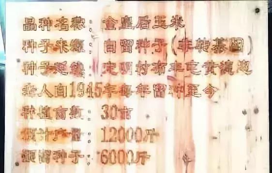 金皇后西瓜育种方法和技术,金皇后玉米种子70612介绍