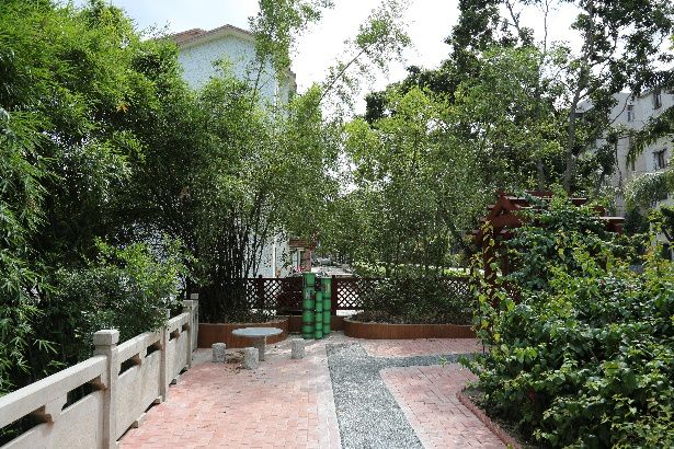 珠海香洲,背街小巷也漂亮