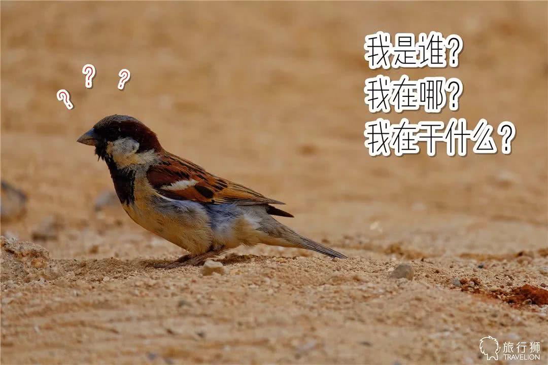 你喜欢什么样的海水,你喜欢什么样的海