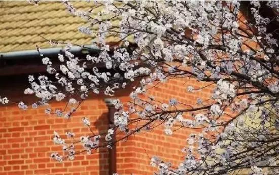 大连到四川自驾游路线经典攻略,大连到长白山自驾游攻略沿途景点