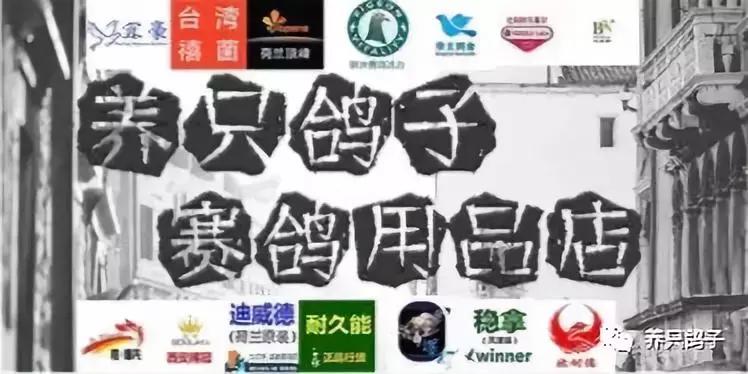 赛鸽常见病大全快快来收藏！