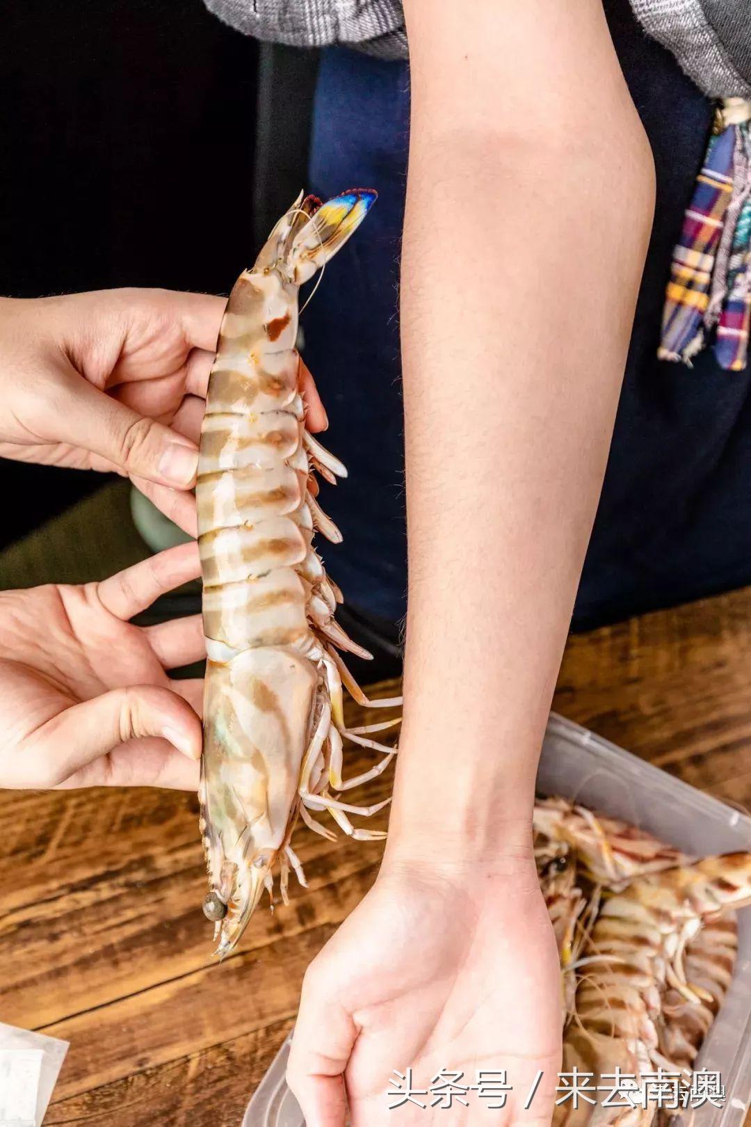 南澳岛寄来一个海鲜大箱,然后朋友圈的人纷纷把她屏蔽了