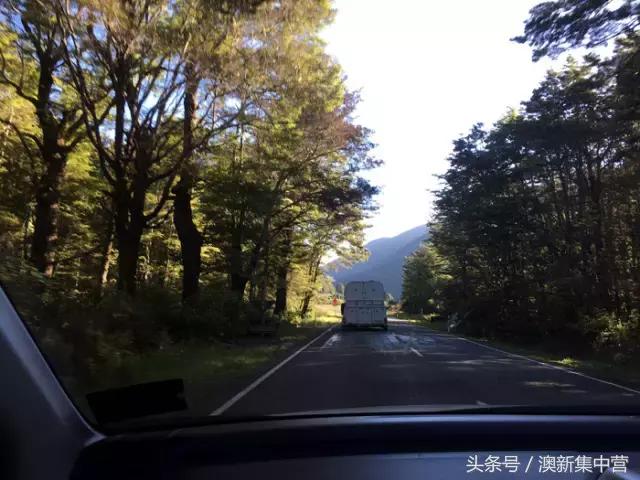 新西兰租别墅攻略,新西兰租房最全攻略