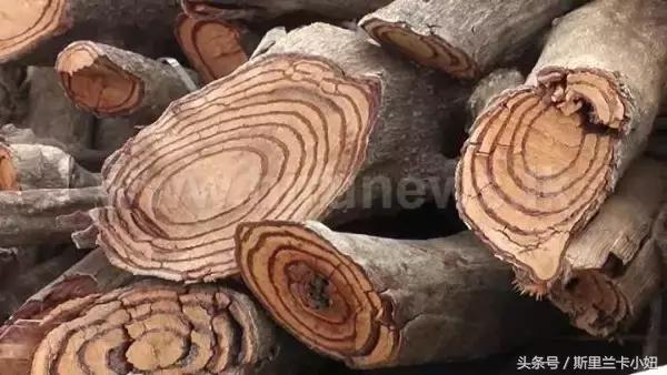 中国女性在印携藏羚羊毛披肩出境被捕，游客：如何判断*禁品违**？