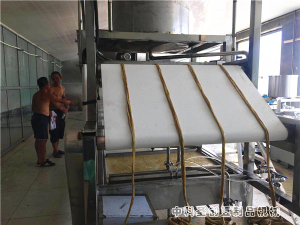 腐竹机厂家直销新型腐竹油皮机,全自动腐竹油皮生产设备厂家