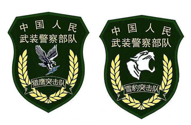 特警和警察有什么不同,特警和派出所干警有什么不同