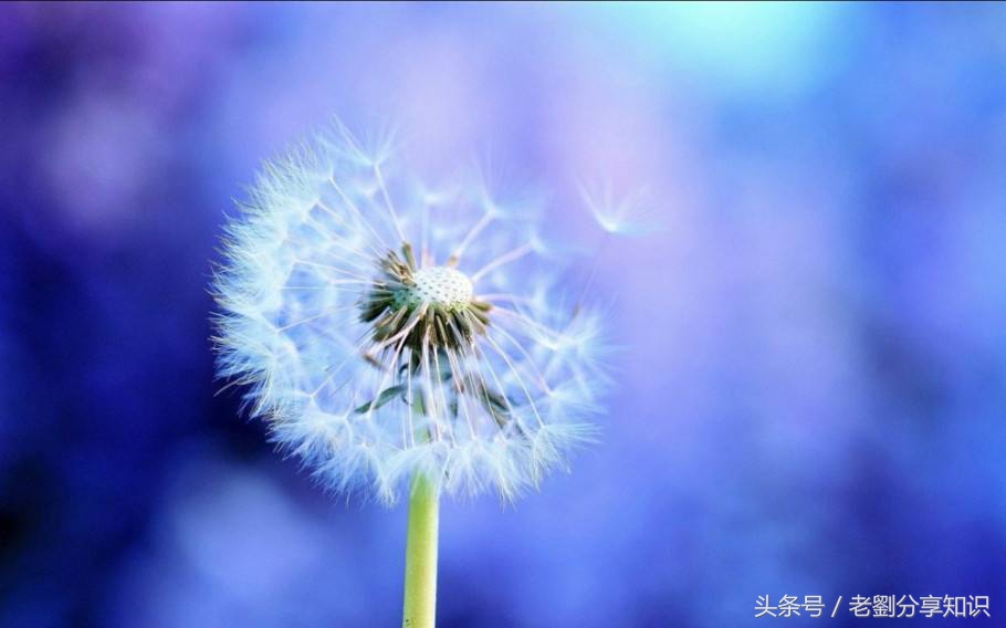 初一背课文和单词成绩会好吗,初一期末必背英语作文