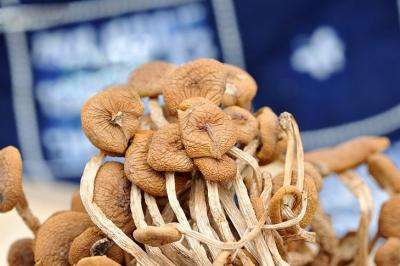 要不要跟这个地方的特产比一比？比得过任何一种，算我输！