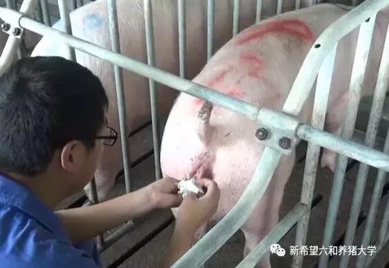 子宫各种炎症的表现,子宫炎症会有什么问题