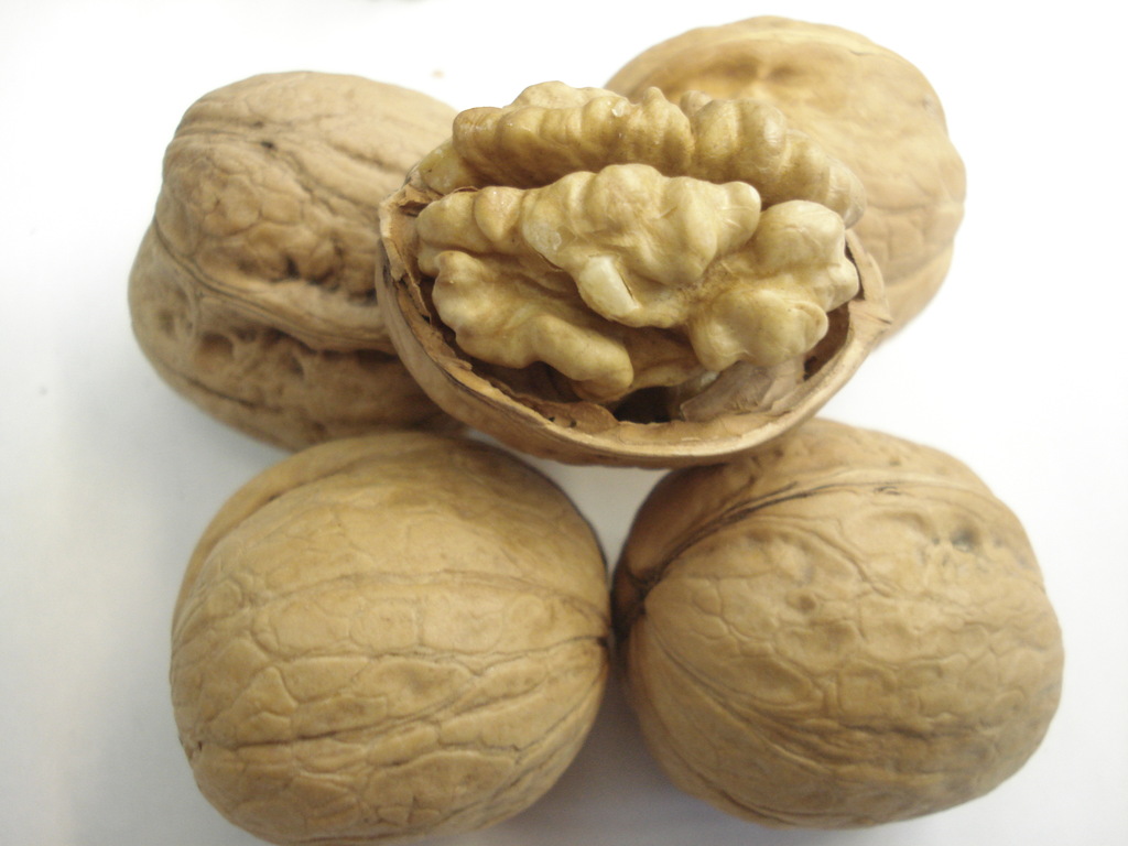 山西汾州核桃仁,山西汾州核桃特产