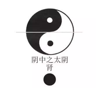 潘毅：别吃错了，六味地黄丸并不补一切肾虚