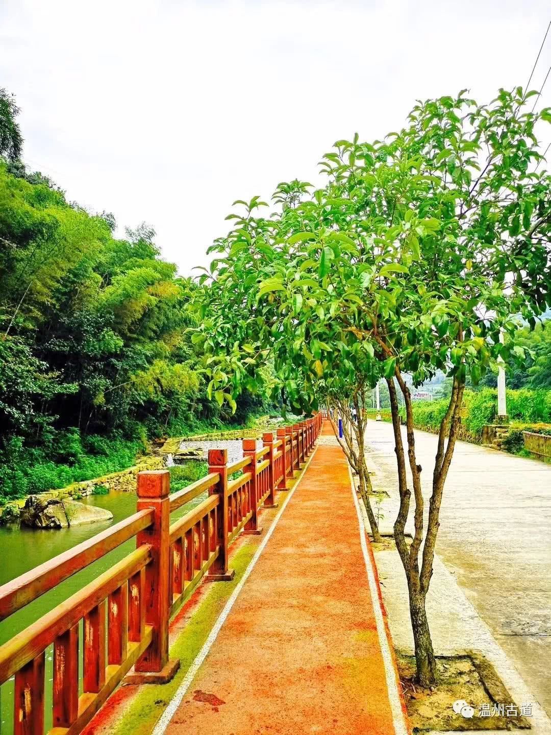 瓯海瞿溪风景,远山近水如诗如画