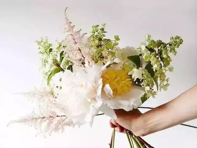 50种鲜切花花语大全，一定有你不知道的，赶紧收藏吧！