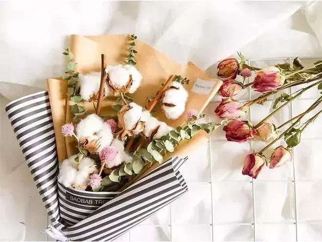 50种鲜切花花语大全，一定有你不知道的，赶紧收藏吧！