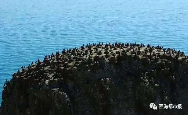 美爆了一大波青海冬日奇景,青海神秘奇景