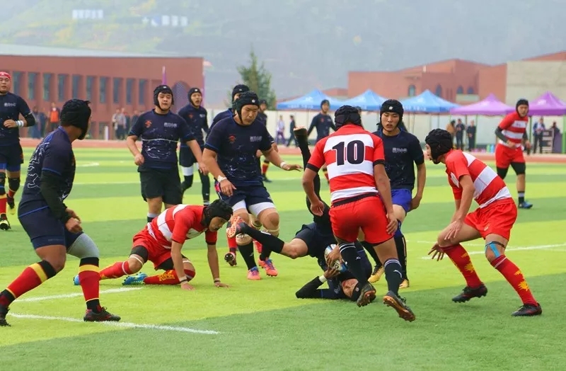 欧美的体育运动,欧美体育橄榄球