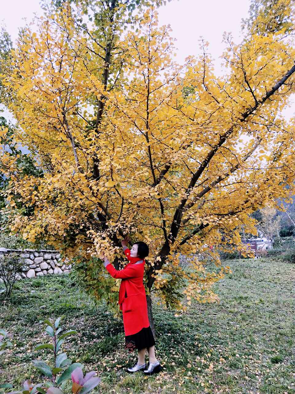秋景西安好去处,雨后遇晴天留坝寻秋色