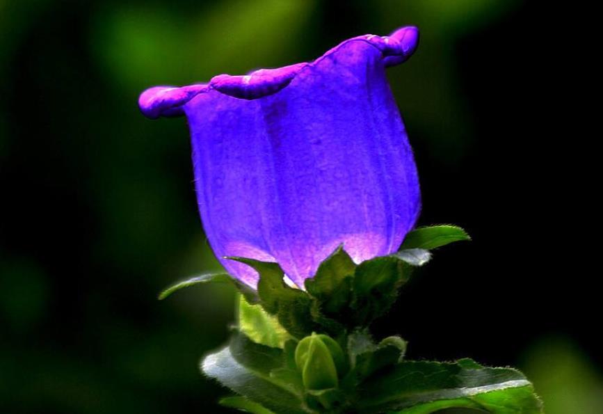 善待没脾气的人,做人要善待每一个人