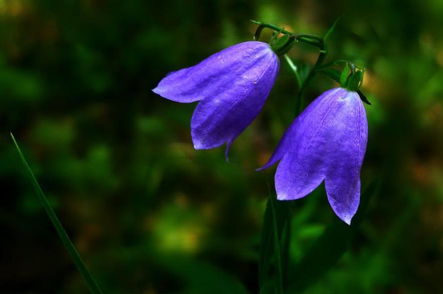 没有脾气才是一个人最好的修养,对于没脾气的人是怎么样的看法