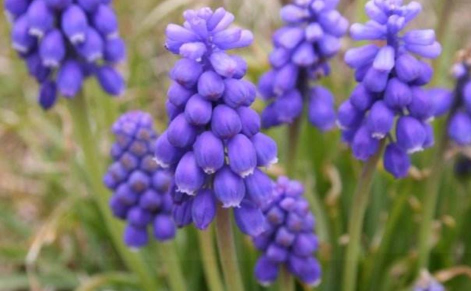 没有脾气才是一个人最好的修养,对于没脾气的人是怎么样的看法