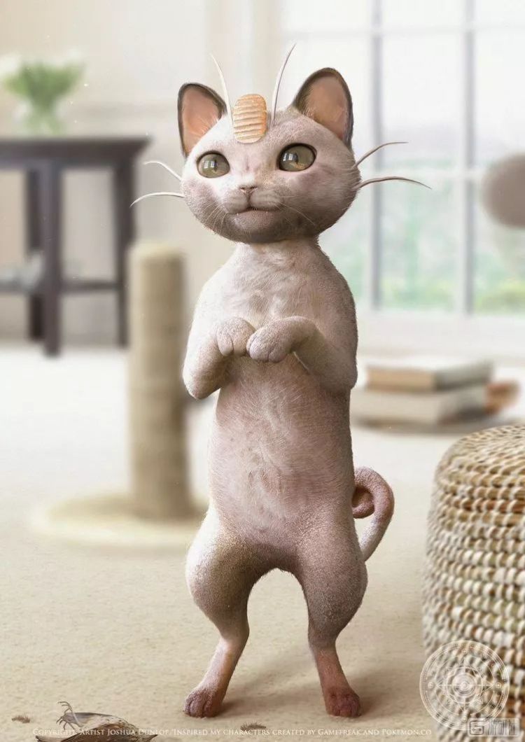 现实世界里有各种各样的宝可梦,真实世界的宝可梦长什么样